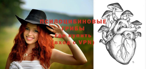 не бодяженный Новокубанск
