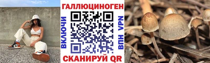 Псилоцибиновые грибы мухоморы Сыктывкар
