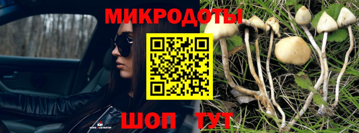 Галлюциногенные грибы Magic Shrooms Сыктывкар