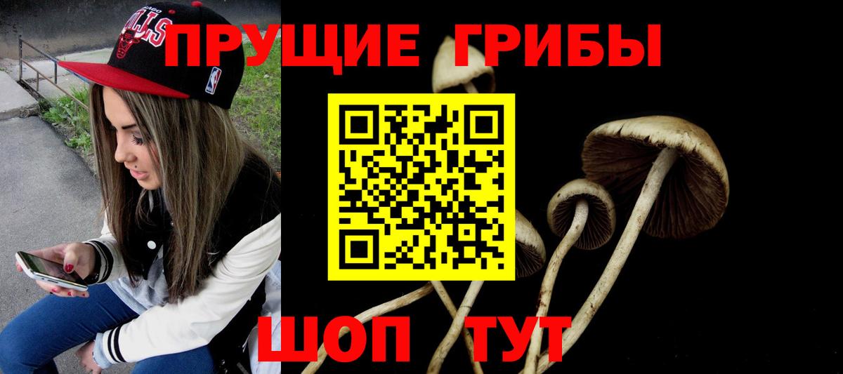 Псилоцибиновые грибы ЛСД  Вход с VPN  Сыктывкар  Псилоцибиновые грибы MAGIC MUSHROOMS 